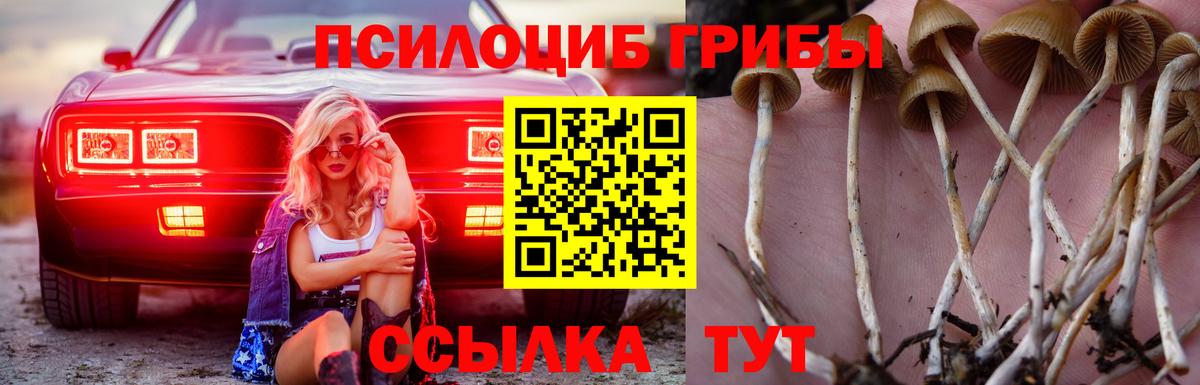 Магнитогорск  Галлюциногенные грибы прущие грибы  Вход с VPN 